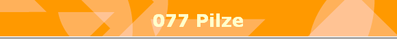 077 Pilze